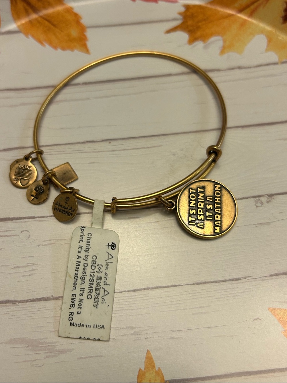 Alex and Any Bracelet Charm it’s not a sprint it’s a marathon